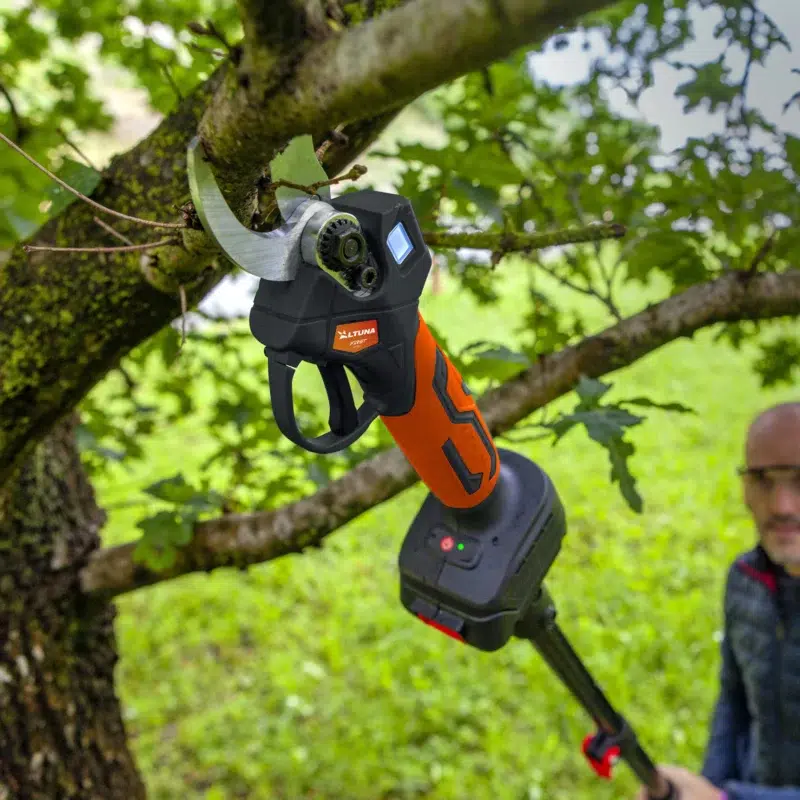 Consejos para una poda eficiente 4 Altuna pruning AF28 tijera de poda potatura 4